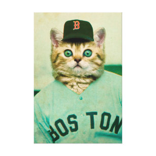 Baseball Cat Canvas Print