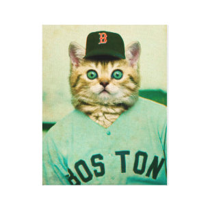 Baseball Cat Canvas Print