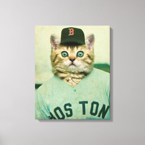 Baseball Cat Canvas Print