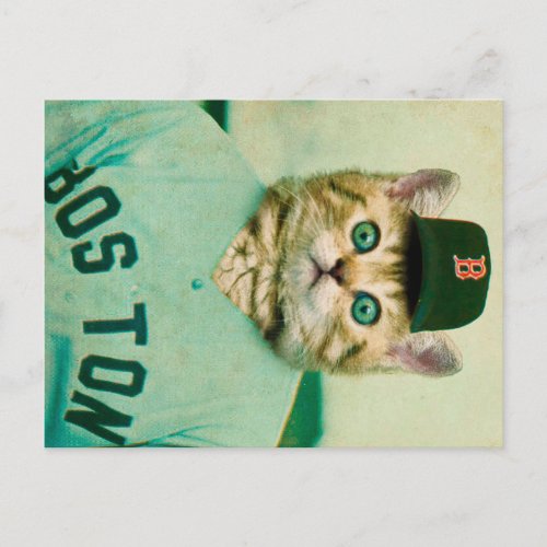 Baseball Cat Postcard