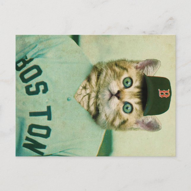Baseball Cat Postcard (Front)