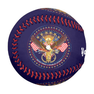 Baseball Disabled Veteran Tribute First Pitch 4