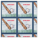 BASEBALL FABRIC