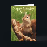 Baseball Loving Chipmunk Birthday Card<br><div class="desc">Cute little chipmunk sits inside a baseball mitt with the expression "Happy Birthday Son" Perfect for your favorite baseball fan! Totally customizable for you to personalize as you please!</div>