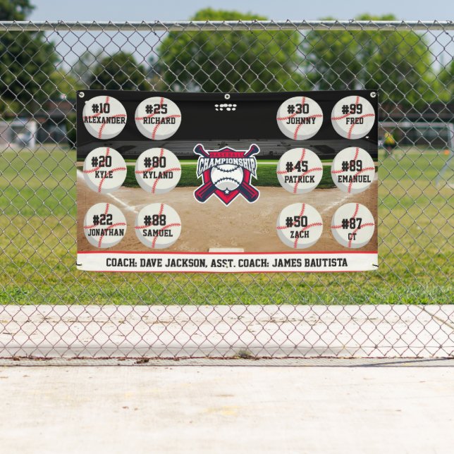 Baseball Team Banner (Insitu)
