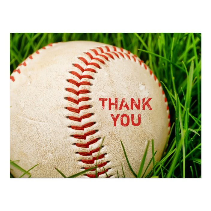 Baseball Thank You Postcard
