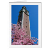 Based in Pink (Front)