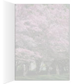 Based in Pink Cards (Inside (Right))