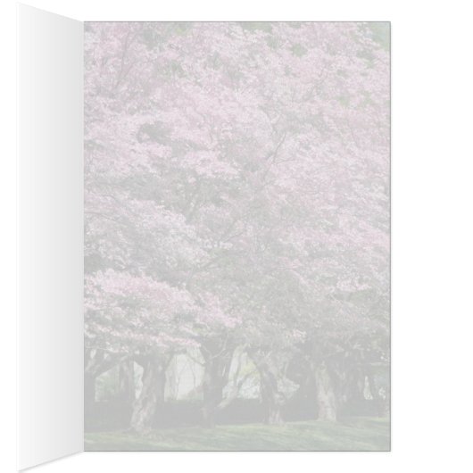 Based in Pink Cards (Inside (Right))