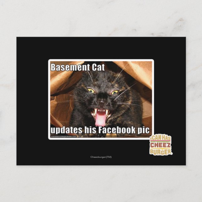 Basement Cat Postcard (Front)