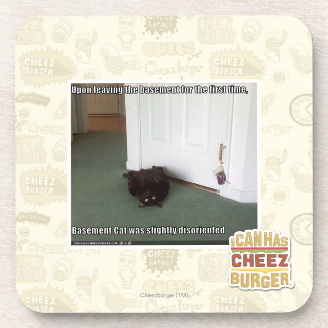 Basement Cat, slightly disoriented Beverage Coaster (Front)