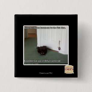 Basement Cat, slightly disoriented Button