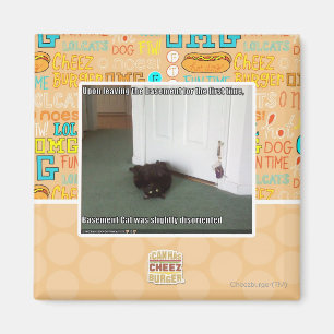 Basement Cat, slightly disoriented Magnet
