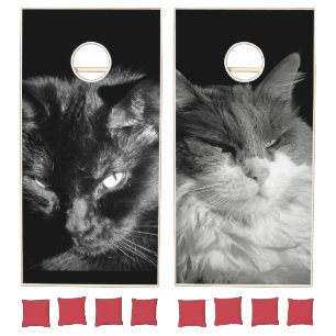 Basement Vs. Bat Cat Cornhole Set
