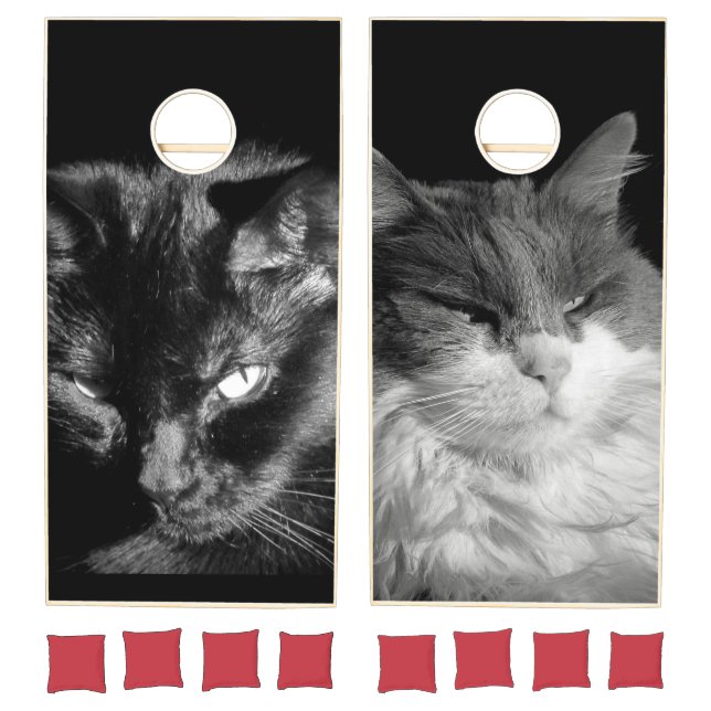 Basement Vs. Bat Cat Cornhole Set (Set)