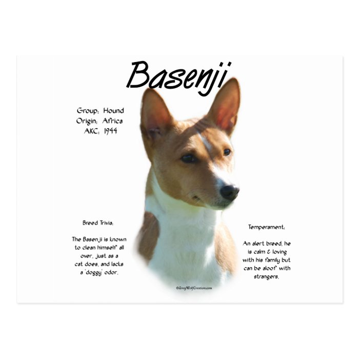 Basenji (chestnut) History Design Post Cards