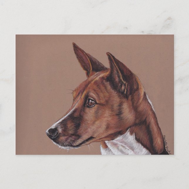 Basenji Colored Pencil Art  Postcard (Front)