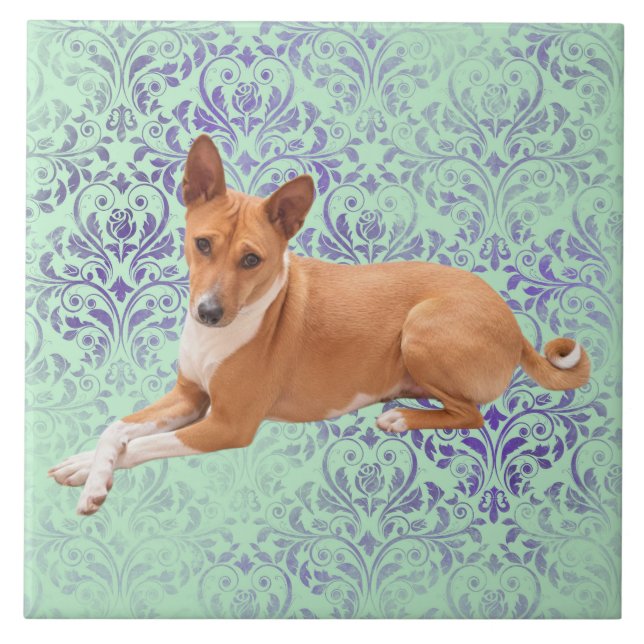 Basenji Dog  Ceramic Tile (Front)