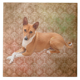 Basenji Dog  Ceramic Tile