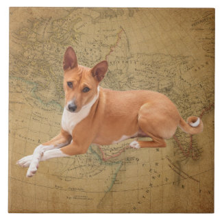 Basenji Dog  Ceramic Tile