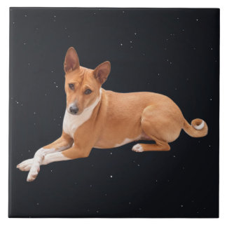 Basenji Dog  Ceramic Tile