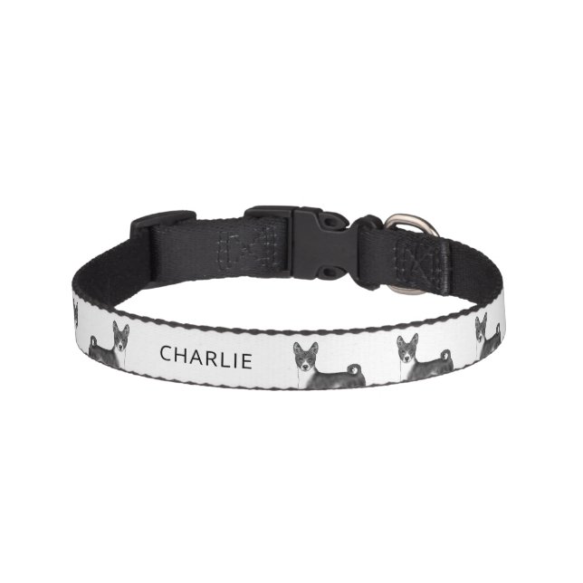 Basenji Dog In Black And White With Custom Name Pet Collar (Front)