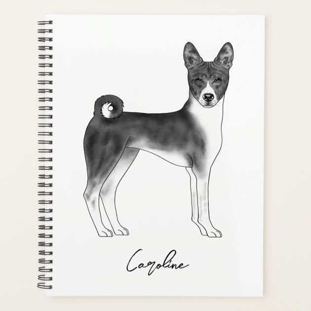 Black and white basenji sales dog