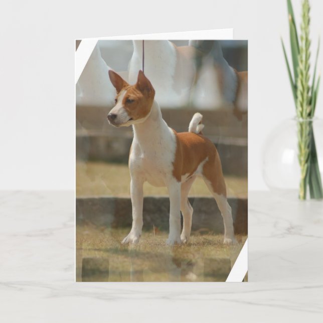 Basenji Greeting Card (Front)