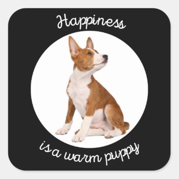 Basenji - Happiness is a warm puppy Square Sticker
