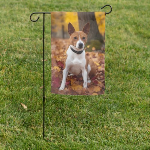 Basenji in Autumn Leaves Fall Inspire  Garden Flag