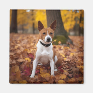 Basenji in Autumn Leaves Fall Inspire Magnet
