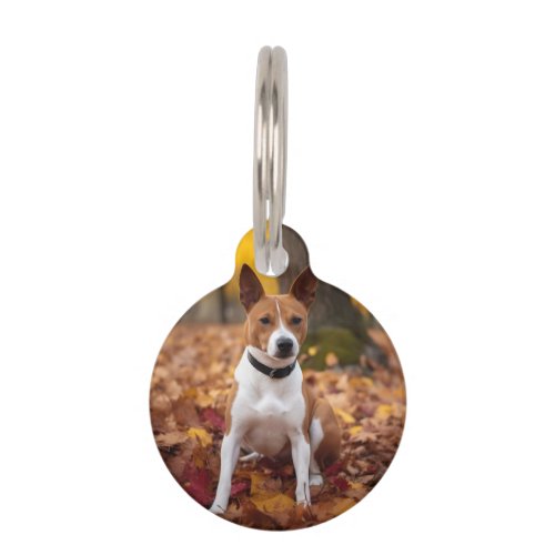 Basenji in Autumn Leaves Fall Inspire  Pet ID Tag