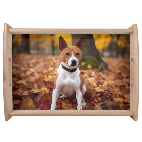 Basenji in Autumn Leaves Fall Inspire  Serving Tray