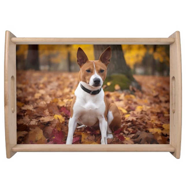 Basenji in Autumn Leaves Fall Inspire  Serving Tray (Front)