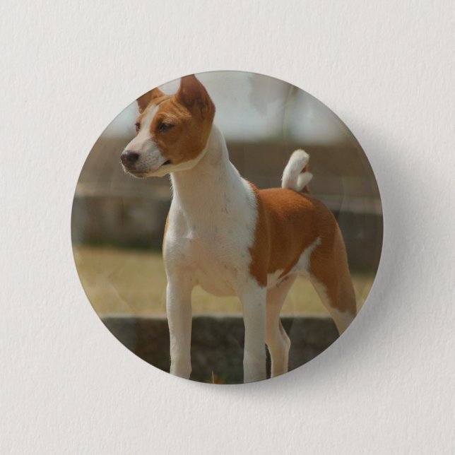 Basenji Pin (Front)