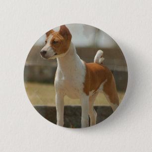 Basenji Pin