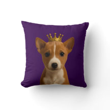 Basenji Puppy in Gold Crown Cute