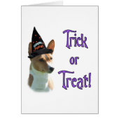 Basenji Trick (Front)