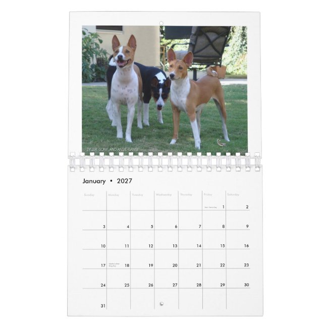 Basenjis of Socal 2010 Calendar (Jan 2027)