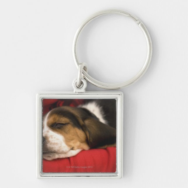 Bashaw, Alberta, Canada Keychain (Front)