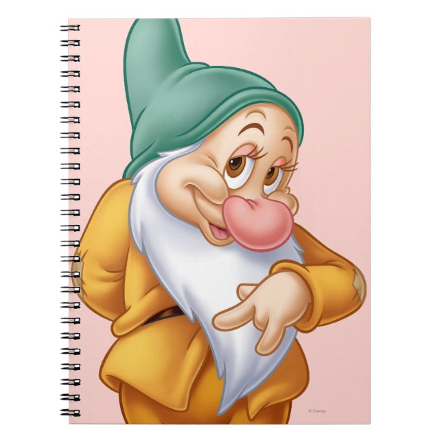 Bashful 3 notebook (Front)