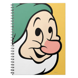 Bashful 4 notebook