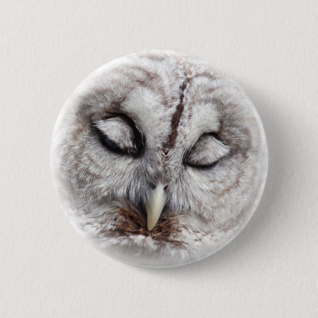 Bashful Barred Owl Pinback Button (Front)