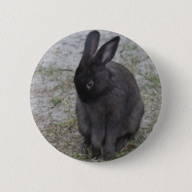 Bashful Bunny Rabbit Button (Front)