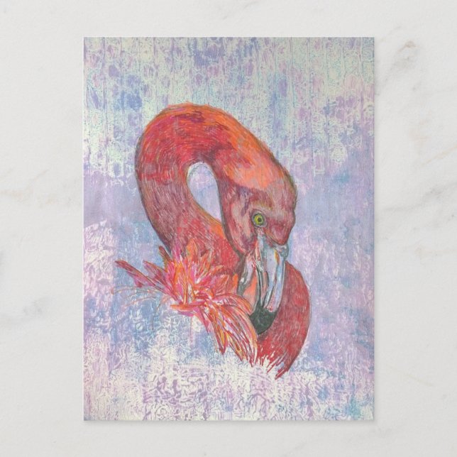 Bashful Flamingo Postcard (Front)