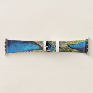 Bashful Peacock Apple Watch Band