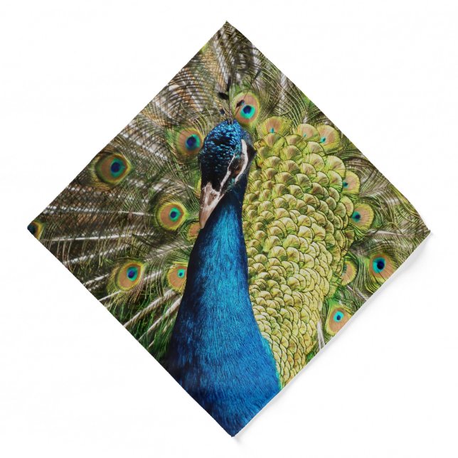 Bashful Peacock  Bandana (Front)
