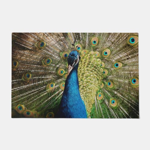 Bashful Peacock  Doormat