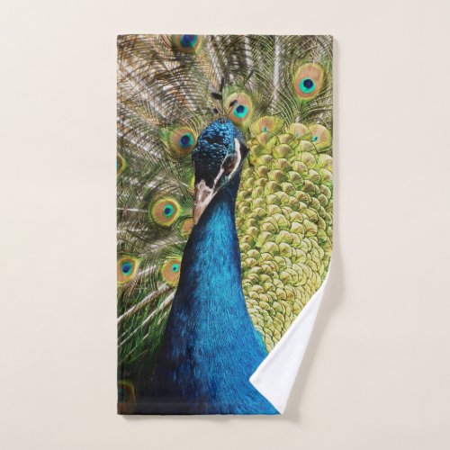 Bashful Peacock  Hand Towel
