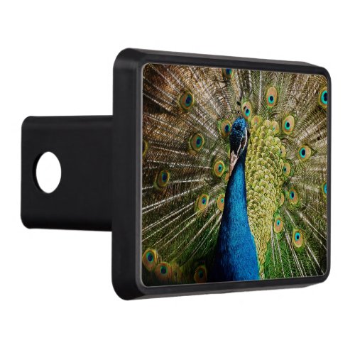 Bashful Peacock  Hitch Cover